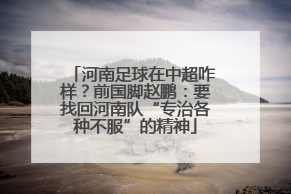 河南足球在中超咋样？前国脚赵鹏：要找回河南队“专治各种不服”的精神