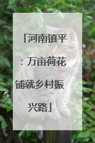 河南镇平：万亩荷花铺就乡村振兴路