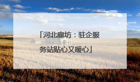 河北廊坊：驻企服务站贴心又暖心