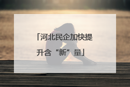 河北民企加快提升含“新”量