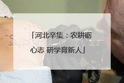 河北辛集：农耕砺心志 研学育新人