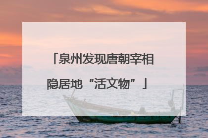 泉州发现唐朝宰相隐居地“活文物”