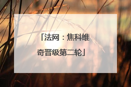 法网：焦科维奇晋级第二轮