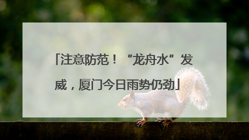 注意防范！“龙舟水”发威，厦门今日雨势仍劲