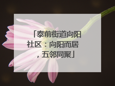 泰前街道向阳社区：向阳而居，五邻同聚