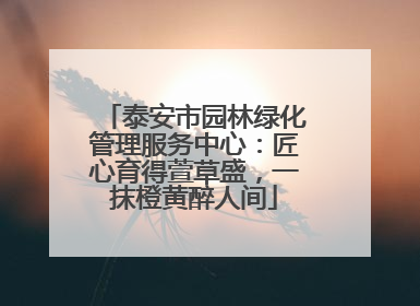 泰安市园林绿化管理服务中心：匠心育得萱草盛，一抹橙黄醉人间