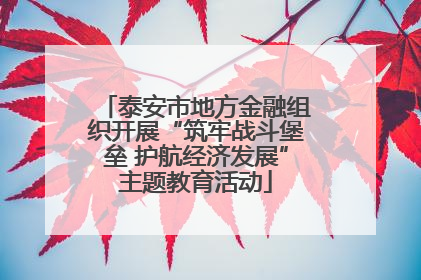 泰安市地方金融组织开展“筑牢战斗堡垒 护航经济发展”主题教育活动
