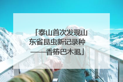 泰山首次发现山东省昆虫新记录种——香椿巴木虱