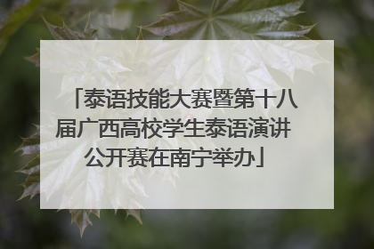 泰语技能大赛暨第十八届广西高校学生泰语演讲公开赛在南宁举办