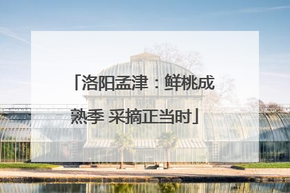 洛阳孟津：鲜桃成熟季 采摘正当时