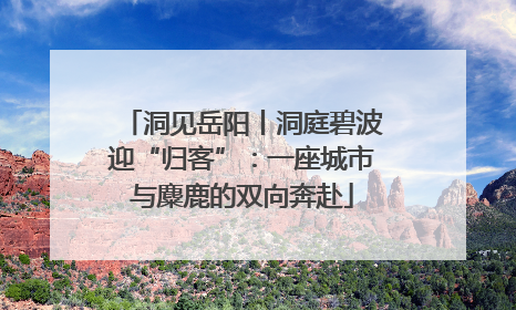 洞见岳阳丨洞庭碧波迎“归客”：一座城市与麋鹿的双向奔赴