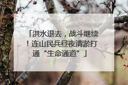 洪水退去，战斗继续！连山民兵昼夜清淤打通“生命通道”