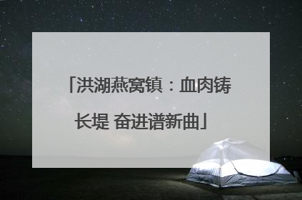 洪湖燕窝镇：血肉铸长堤 奋进谱新曲