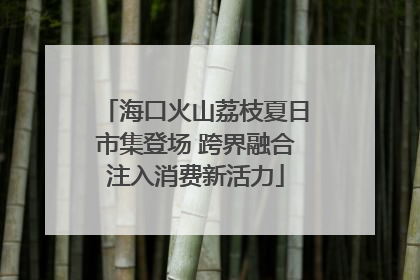海口火山荔枝夏日市集登场 跨界融合注入消费新活力