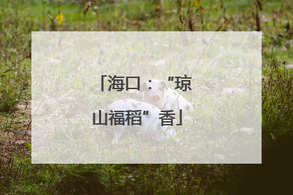 海口：“琼山福稻”香