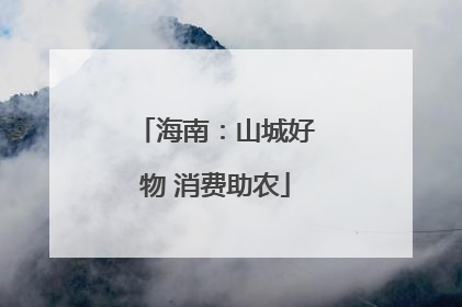海南：山城好物 消费助农
