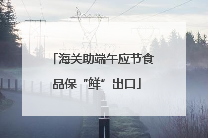 海关助端午应节食品保“鲜”出口