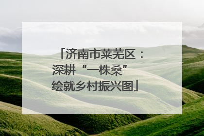 济南市莱芜区：深耕“一株桑” 绘就乡村振兴图