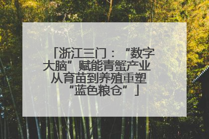 浙江三门：“数字大脑”赋能青蟹产业 从育苗到养殖重塑“蓝色粮仓”