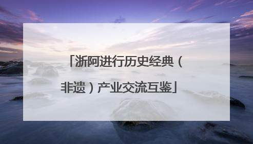 浙阿进行历史经典（非遗）产业交流互鉴