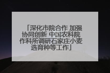 深化市院合作 加强协同创新 中国农科院作科所调研石家庄小麦选育种等工作