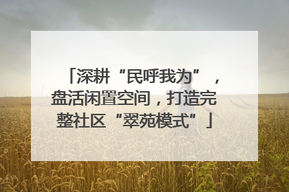 深耕“民呼我为”，盘活闲置空间，打造完整社区“翠苑模式”