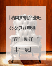 清风护航产业旺 公安县八里港 “莲” 动好 “丰” 景