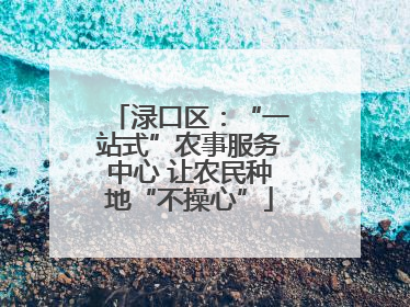 渌口区：“一站式”农事服务中心 让农民种地“不操心”