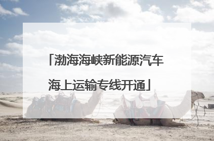 渤海海峡新能源汽车海上运输专线开通