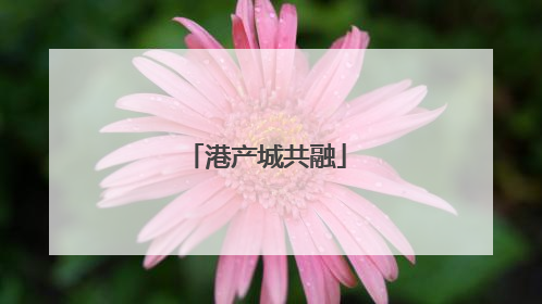 港产城共融