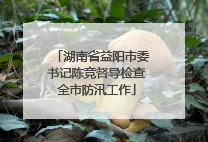 湖南省益阳市委书记陈竞督导检查全市防汛工作