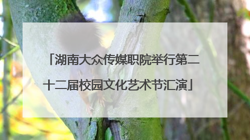 湖南大众传媒职院举行第二十二届校园文化艺术节汇演