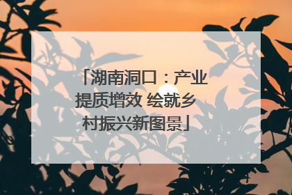 湖南洞口：产业提质增效 绘就乡村振兴新图景
