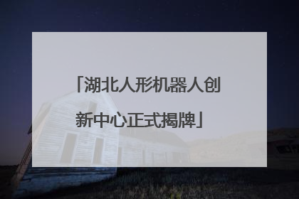 湖北人形机器人创新中心正式揭牌