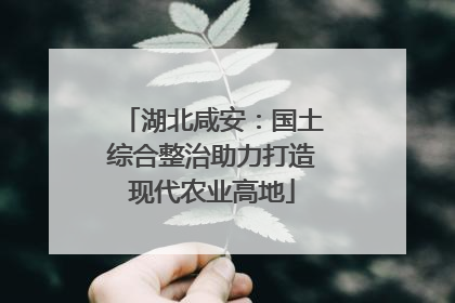 湖北咸安：国土综合整治助力打造现代农业高地