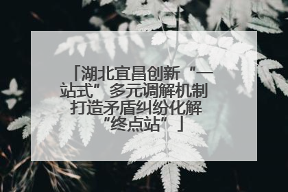 湖北宜昌创新“一站式”多元调解机制 打造矛盾纠纷化解“终点站”