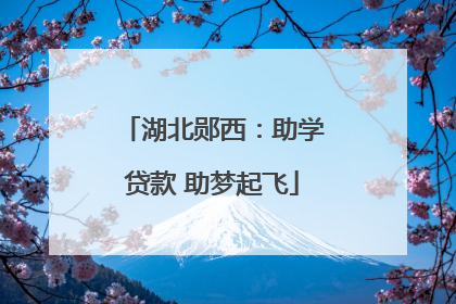 湖北郧西：助学贷款 助梦起飞