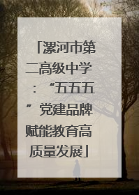 漯河市第二高级中学：“五五五”党建品牌赋能教育高质量发展
