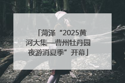 菏泽“2025黄河大集—曹州牡丹园夜游消夏季”开幕