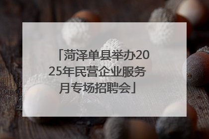 菏泽单县举办2025年民营企业服务月专场招聘会