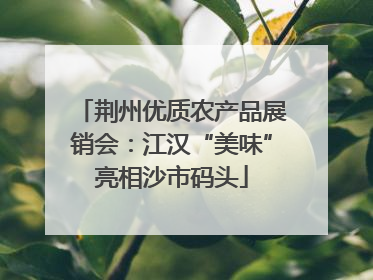 荆州优质农产品展销会：江汉“美味”亮相沙市码头