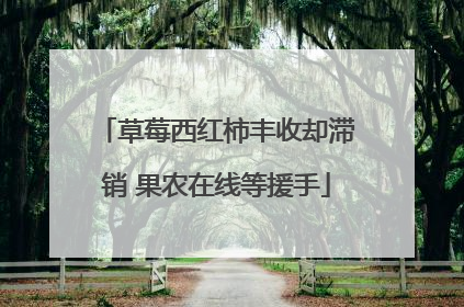 草莓西红柿丰收却滞销 果农在线等援手