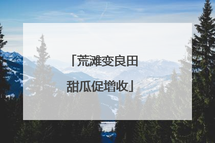 荒滩变良田 甜瓜促增收