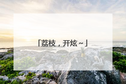 荔枝，开炫～