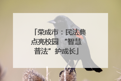 荣成市：民法典点亮校园 “智慧普法”护成长