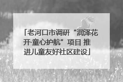 老河口市调研“润泽花开·童心护航”项目 推进儿童友好社区建设