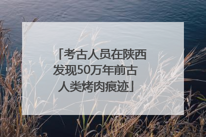 考古人员在陕西发现50万年前古人类烤肉痕迹