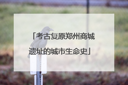 考古复原郑州商城遗址的城市生命史