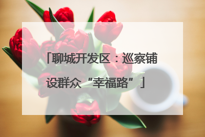 聊城开发区：巡察铺设群众“幸福路”