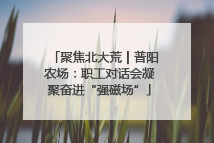 聚焦北大荒｜普阳农场：职工对话会凝聚奋进“强磁场”